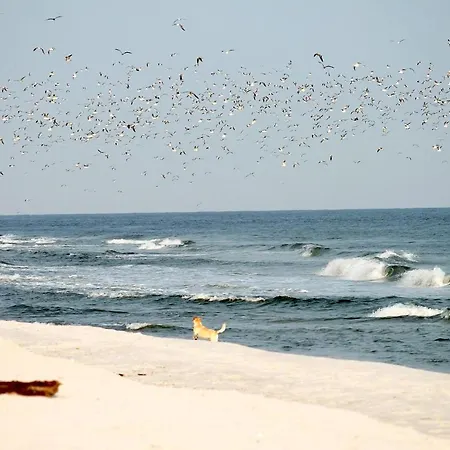 Apartment White Pearl 0.03 *