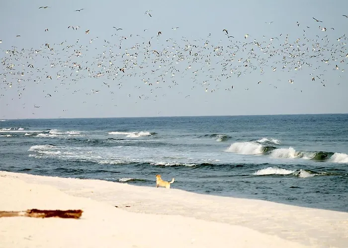 Apartment White Pearl 0.03 *